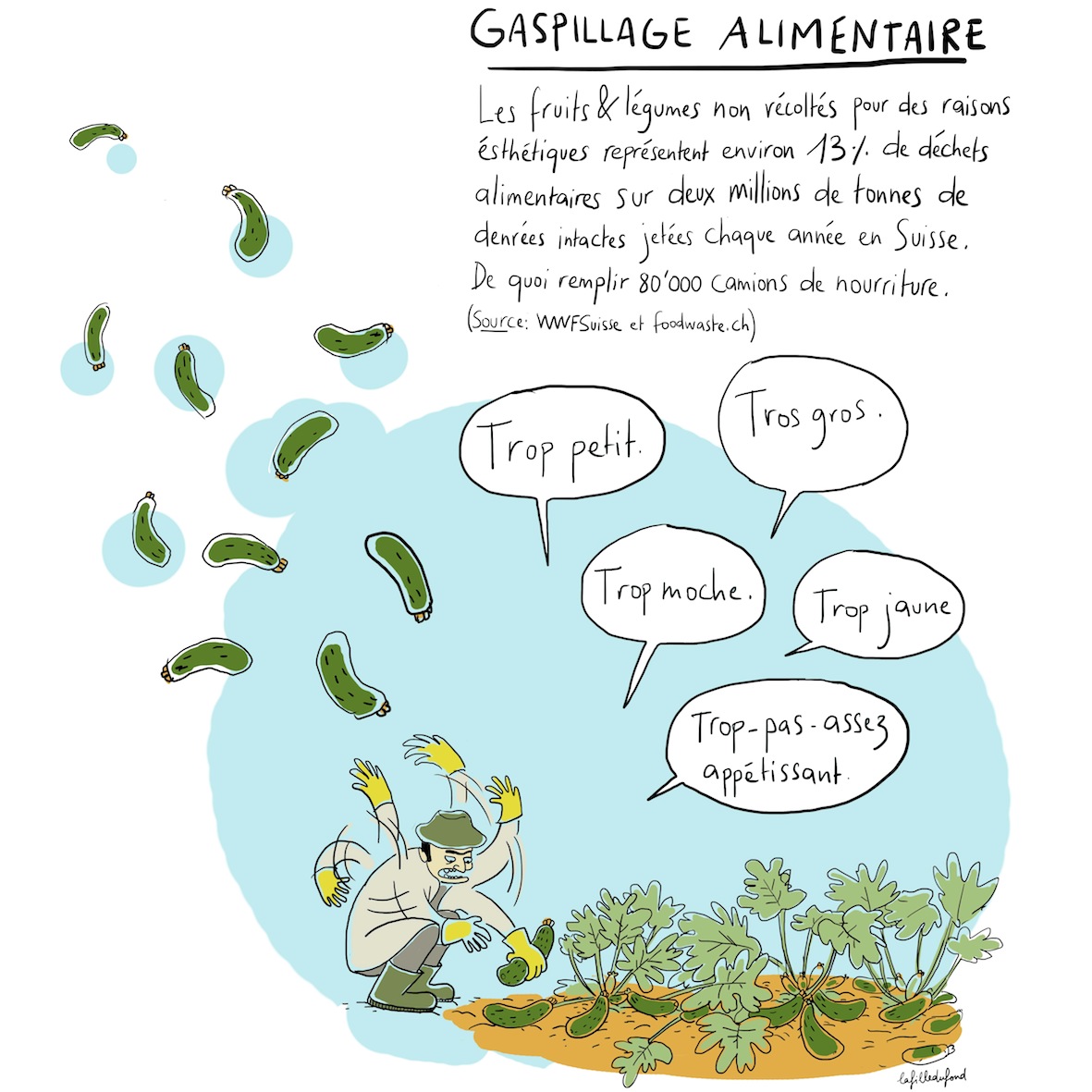 Gaspillage alimentaire