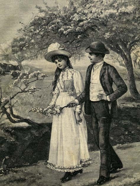 Pauvre saint Valentin!