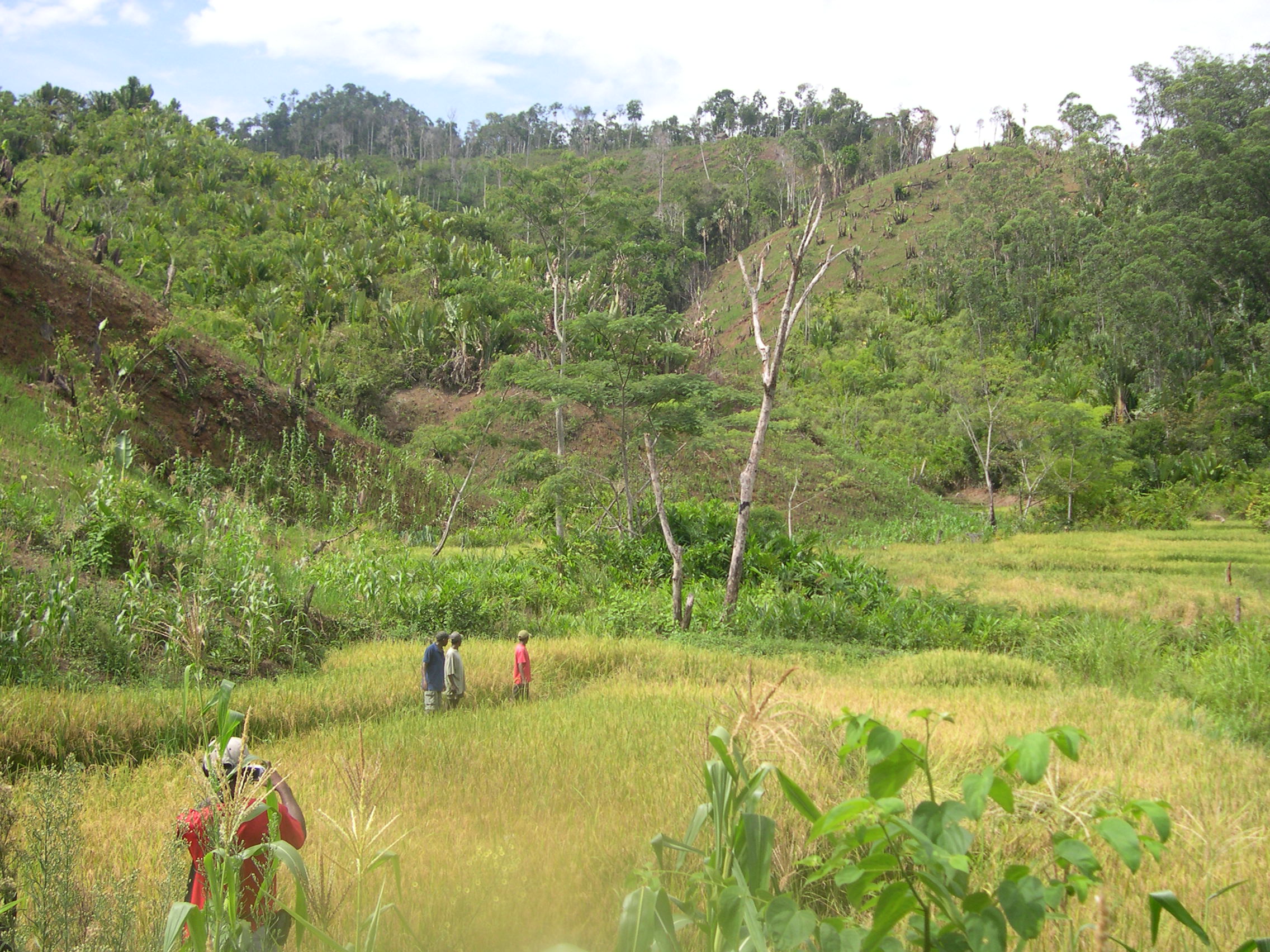 Chroniques malgaches 3 : un « point chaud » environnemental