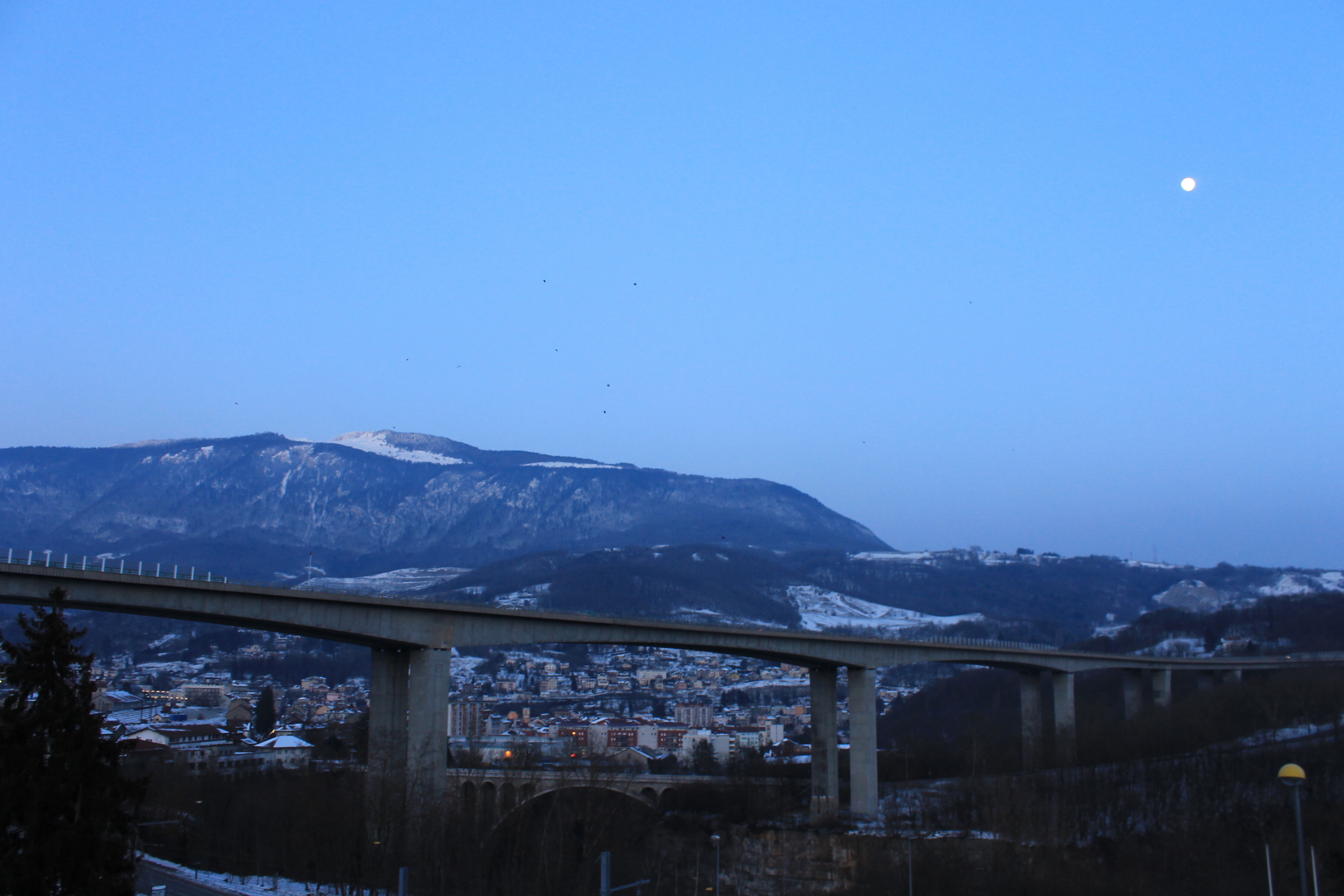 Merdre à la féminisation abusive !