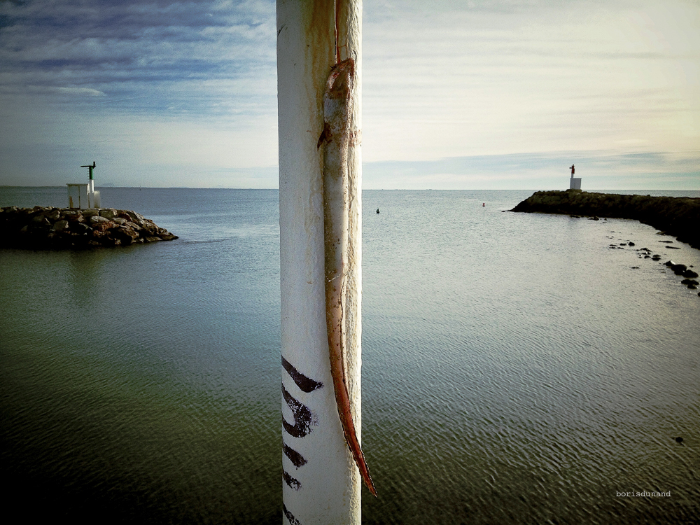 Lancinantes interrogations