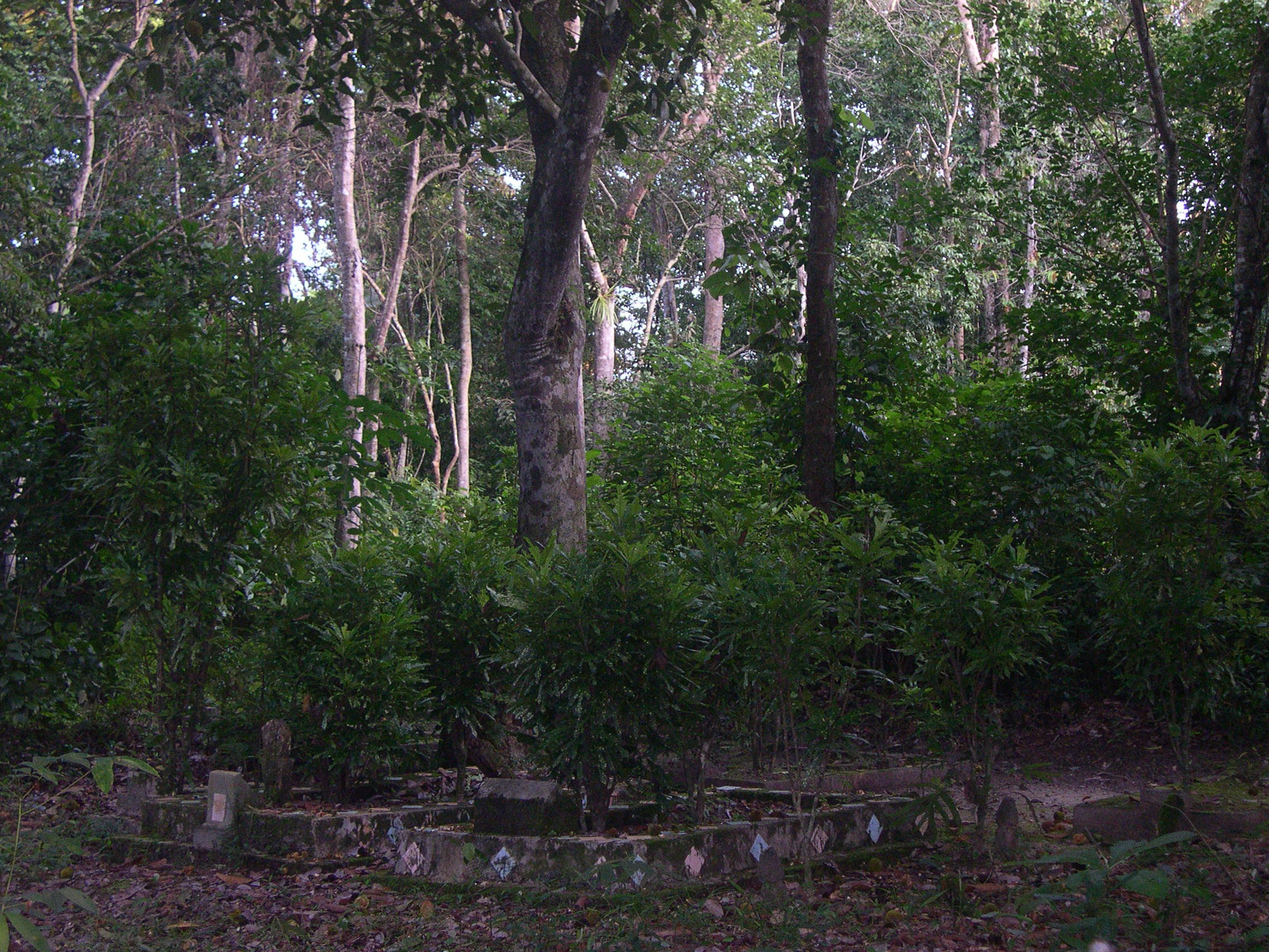 Chroniques indonésiennes 2 – À propos de la peine de mort