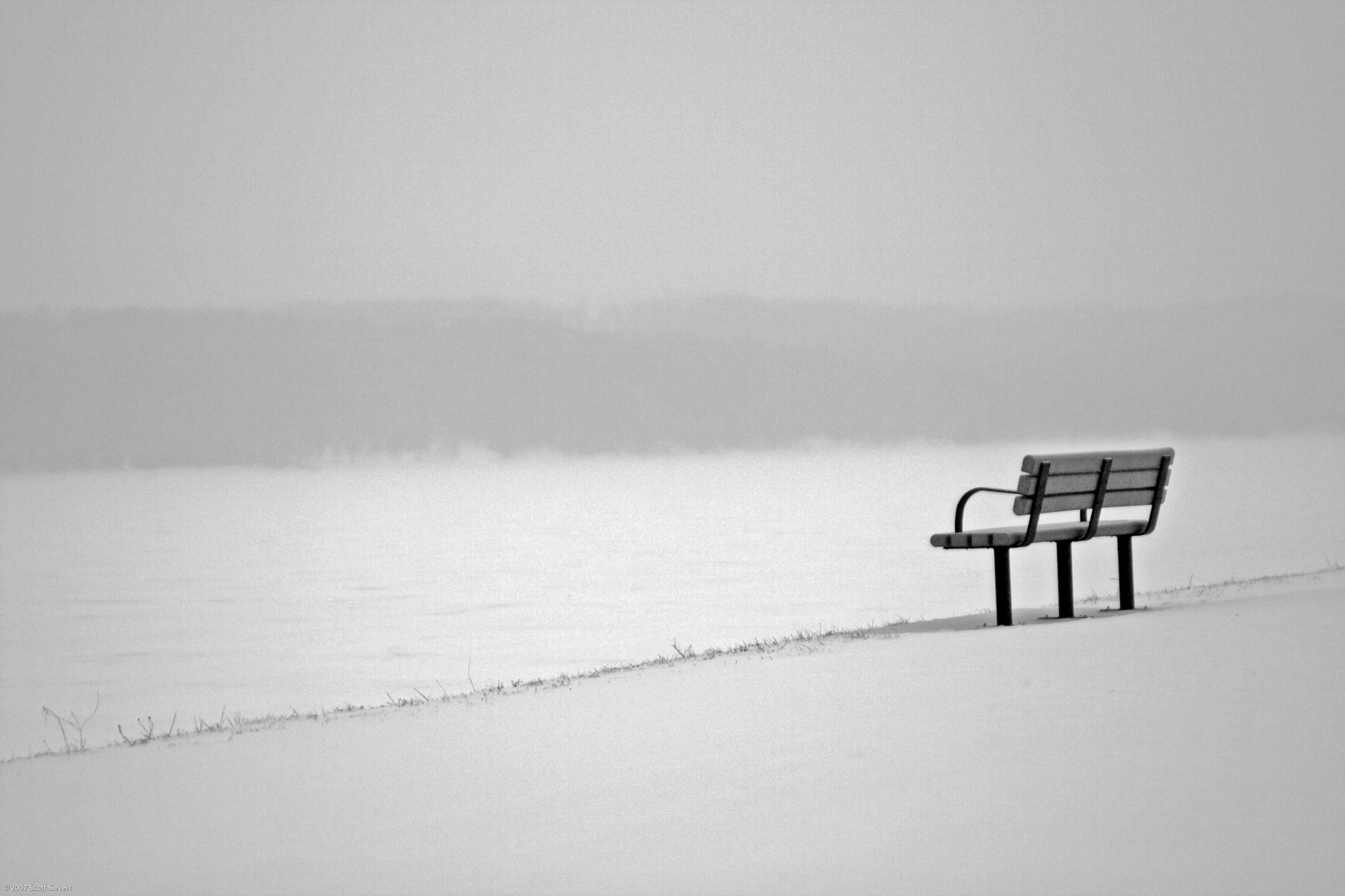 The Sounds of Silence