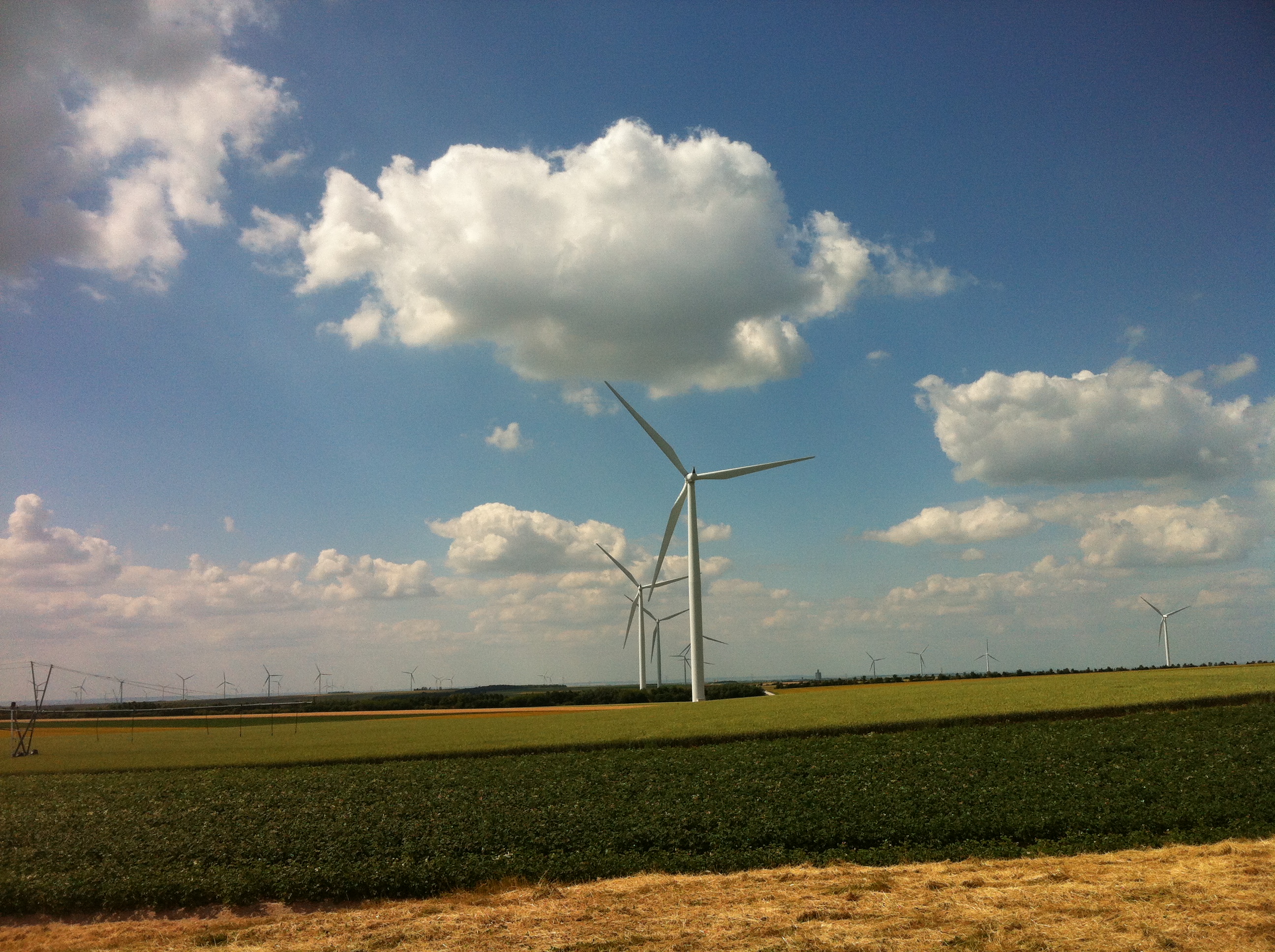 L’économie sera durable ou ne sera pas